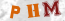Güvenlik Resmi
