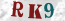 Güvenlik Resmi